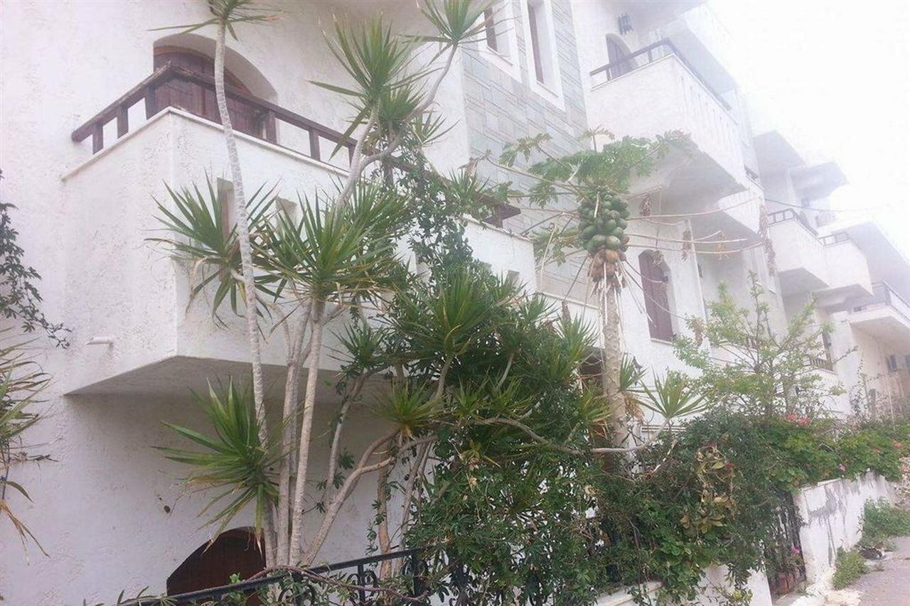 Irene Apartments Malia Exterior foto
